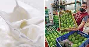 La oferta agrícola de Colombia a Estados Unidos se ha diversificado con productos como aguacate hass, limón tahití, uchuva y hierbas, entre otros.