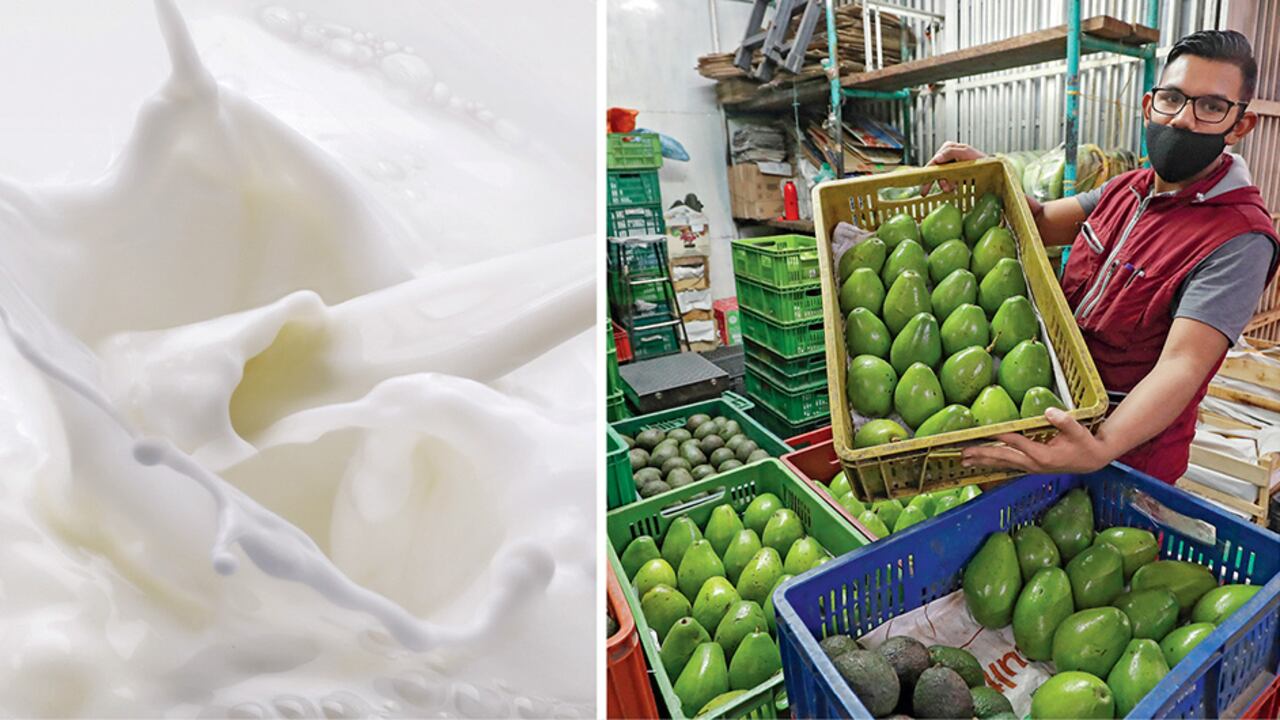 La oferta agrícola de Colombia a Estados Unidos se ha diversificado con productos como aguacate hass, limón tahití, uchuva y hierbas, entre otros.