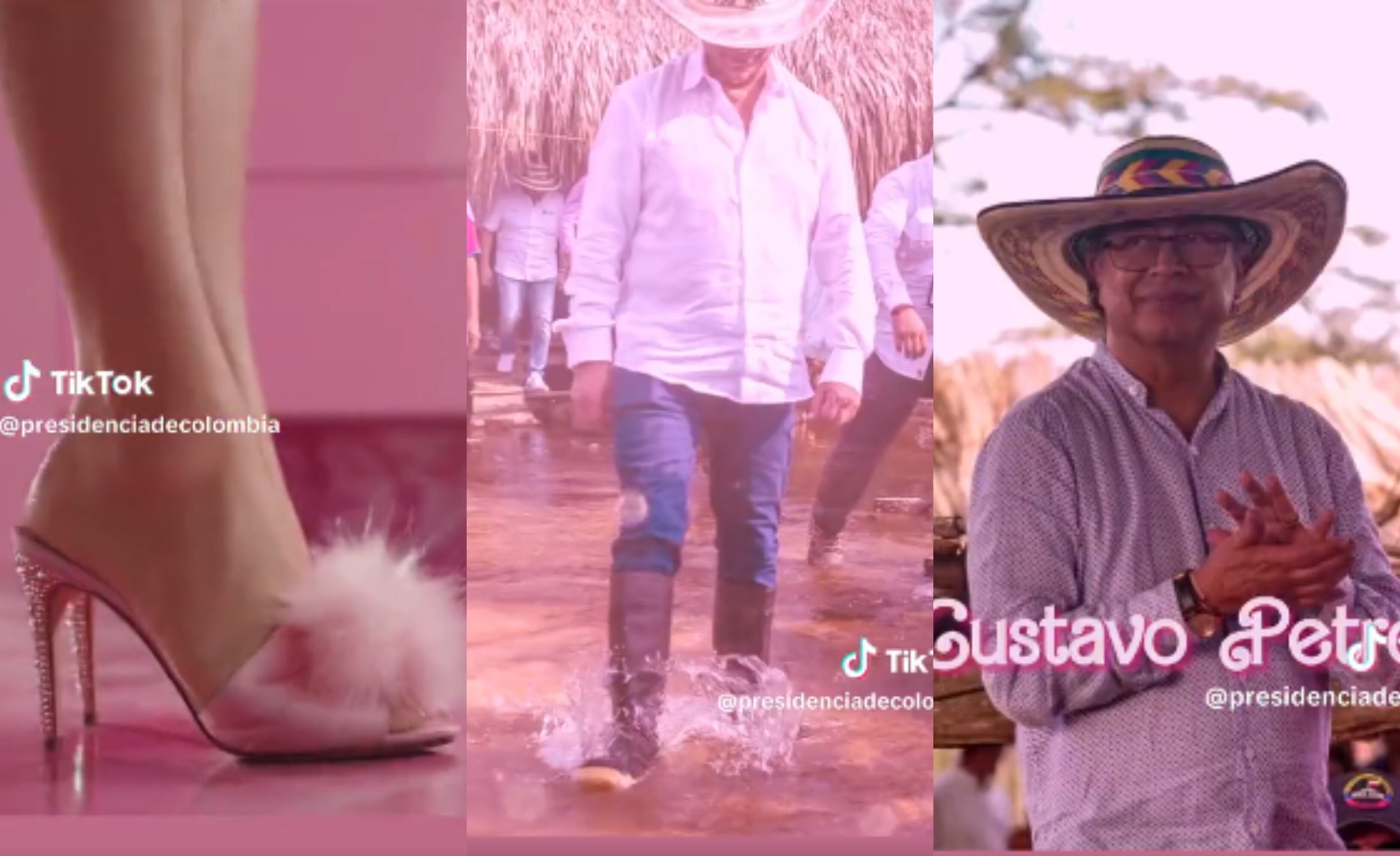 La cuenta en TikTok de la Presidencia borró el cuestionado video.