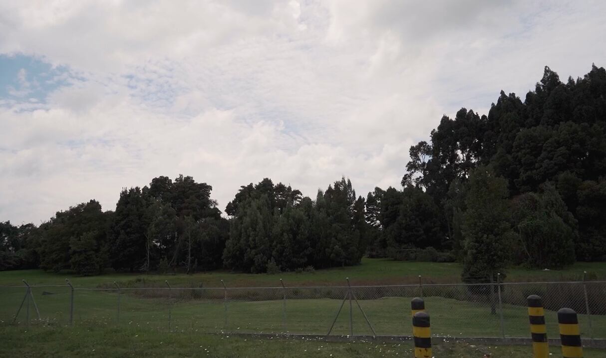 En El Dorado están trabajando para darle un manejo ambiental correcto a los humedales aledaños, ecosistemas claves para el medio ambiente y la salud humana.