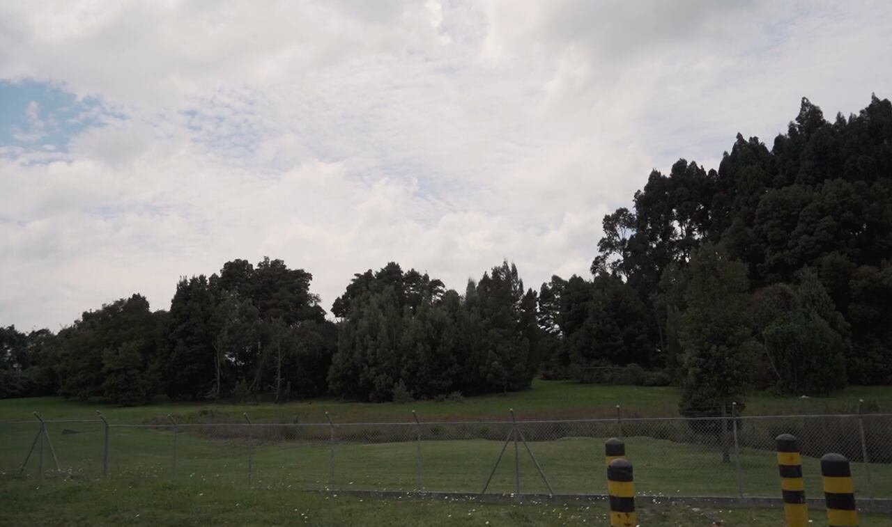 En El Dorado están trabajando para darle un manejo ambiental correcto a los humedales aledaños, ecosistemas claves para el medio ambiente y la salud humana.