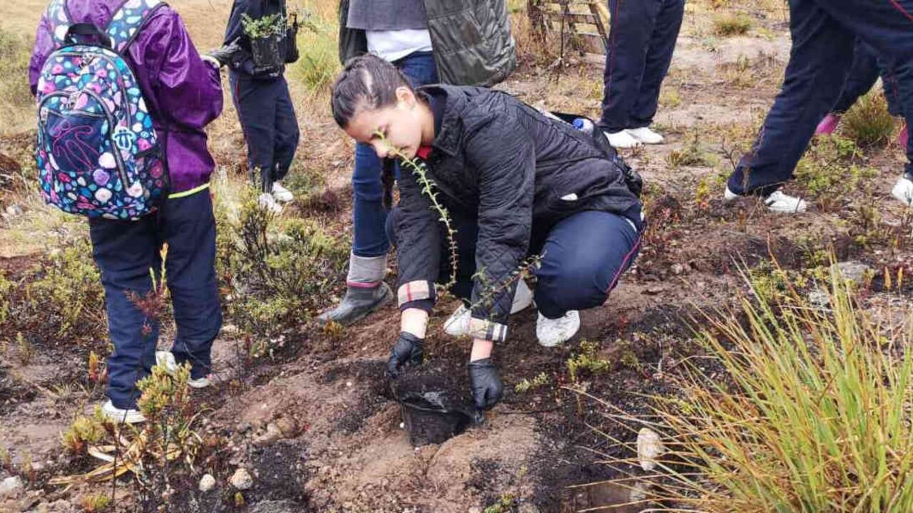 El proyecto de reforestación en Antioquia contempla que mínimo el 50 por ciento de las personas que trabajará en la siembra de viveros serán mujeres. Foto: archivo / Semana - Colombia hoy.