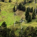 Pesca, Boyacá