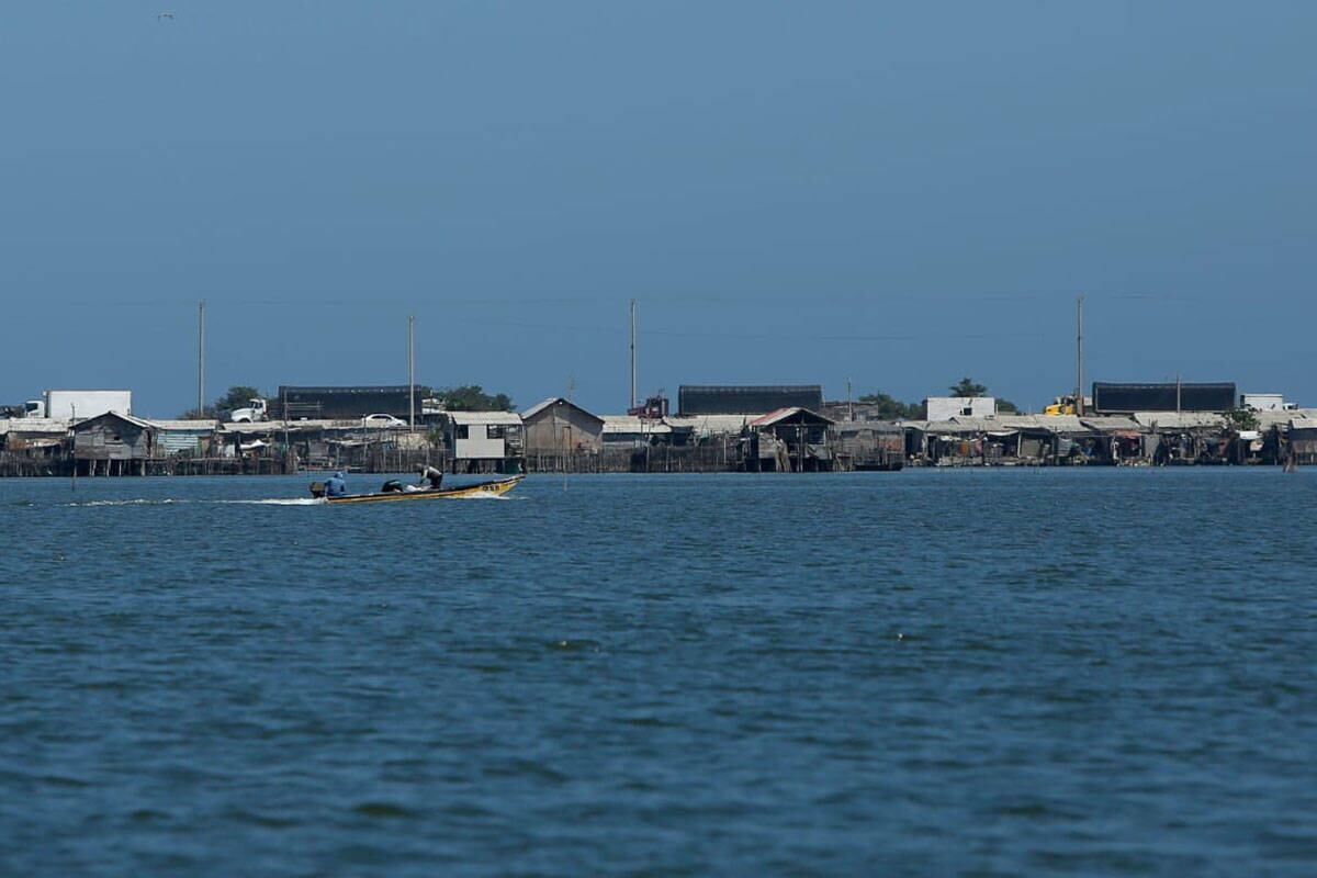 La problemática de Tasajera y la Ciénaga Grande en general se ha convertido en un mal crónico. El Estado se abstiene de intervenir para mejorar la situación por la complejidad que representa. Foto: Guillermo Torres/SEMANA