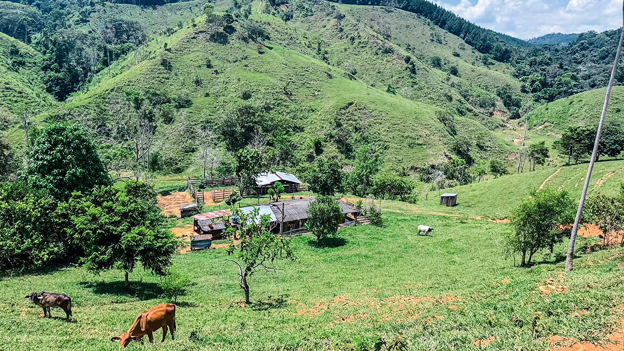 En Vegachí (Antioquia), un grupo de campesinos está librando una batalla contra la ANT para que sus fincas no sean declaradas terrenos baldíos.