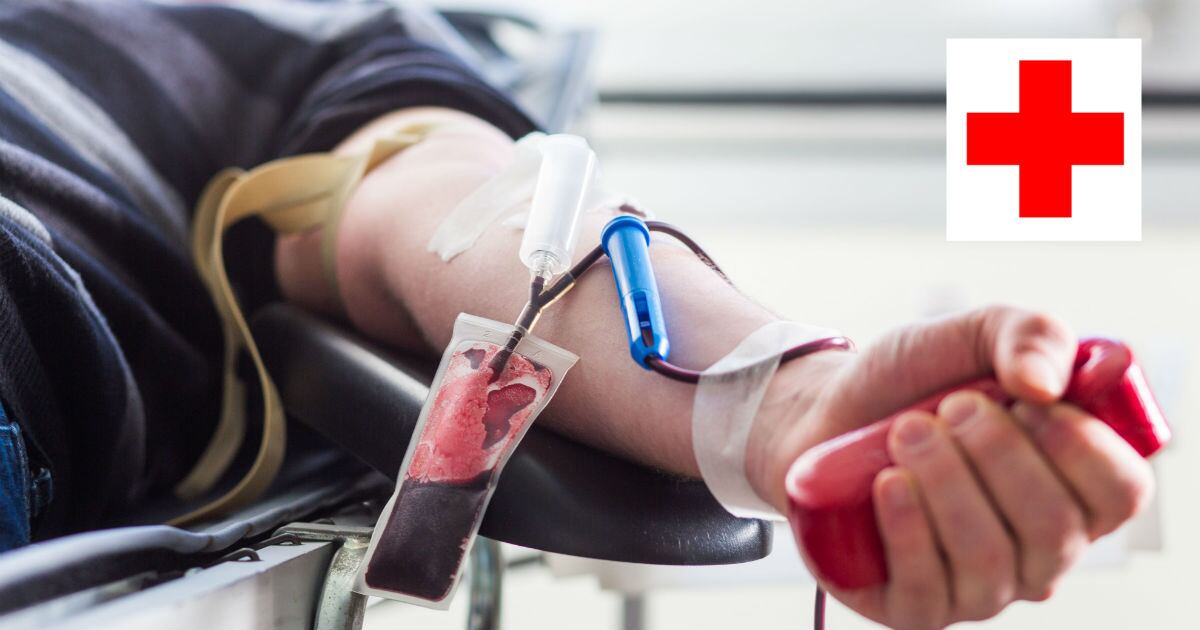 Desarrollan sangre artificial universal que podría revolucionar la medicina.