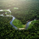 Informe de la Interpol advierte sobre la minería ilegal de oro y la destrucción que esta ocasiona en el Amazonas.