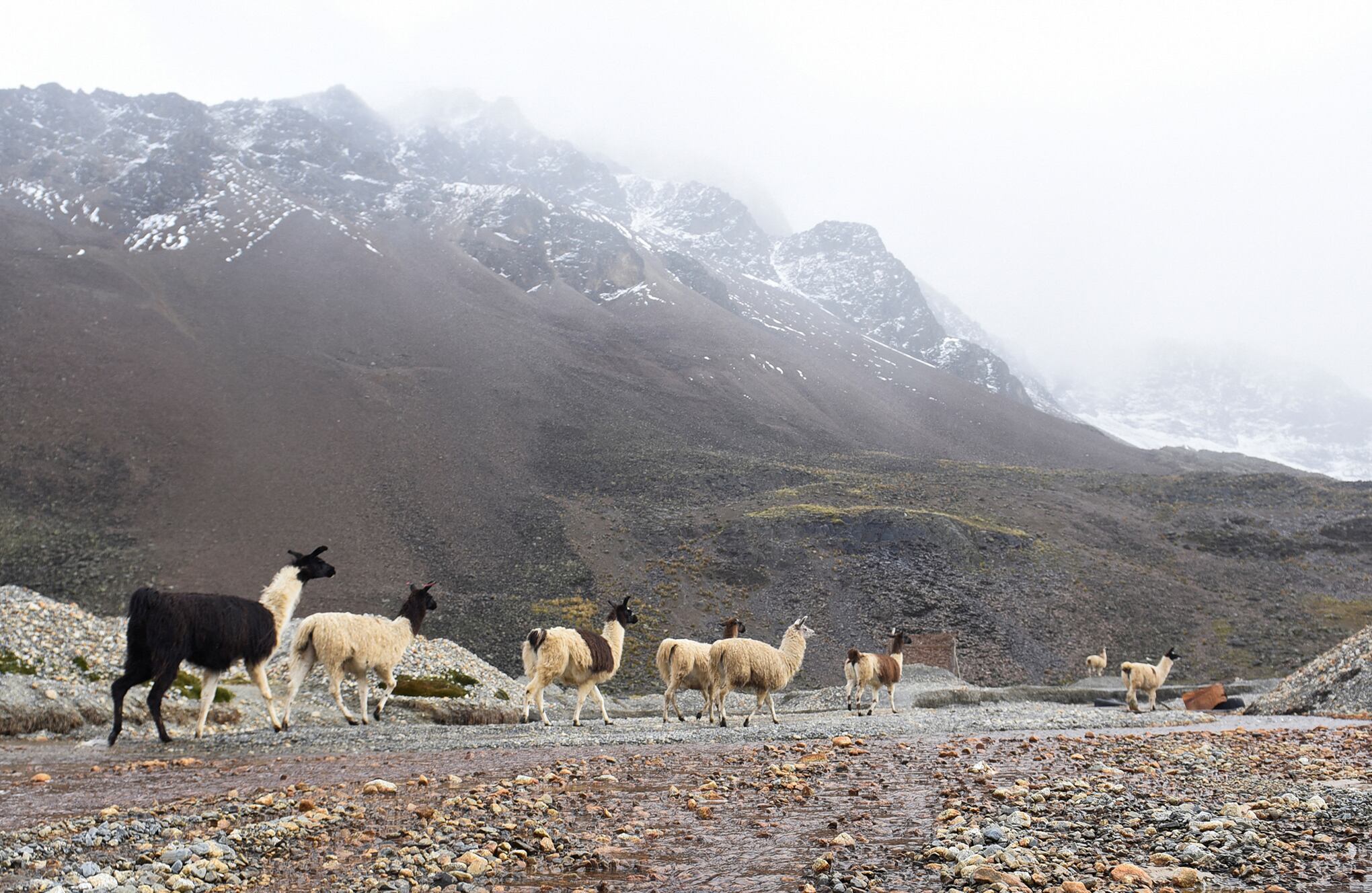 Batalla para salvar el glaciar moribundo de Bolivia
