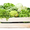 Brócoli, lechuga, apio, espinacas y otros vegetales de hojas. Foto: Getty Images