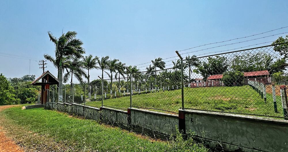 Los amigos más cercanos a Piedad no entienden cómo terminó en La Tigrera, dedicando gran parte de sus últimos años a la sabana llanera y queriendo impulsar un proyecto agroturístico en una zona donde el turismo no es el principal renglón de la economía. 