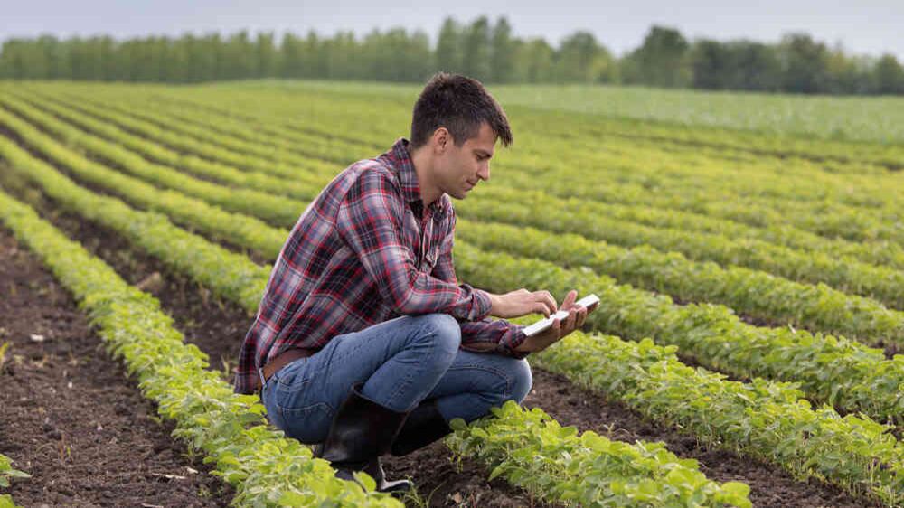 Las fintech han logrado llegar a personas que aún no tenían ningún producto o servicio financiero.