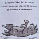 En Armenia amenazan de muerte a los perros si los amos no recogen los excrementos.