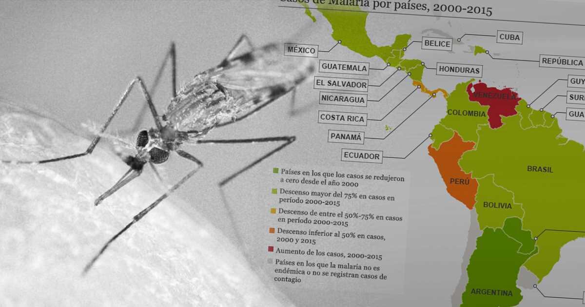 Malaria latino mapa
