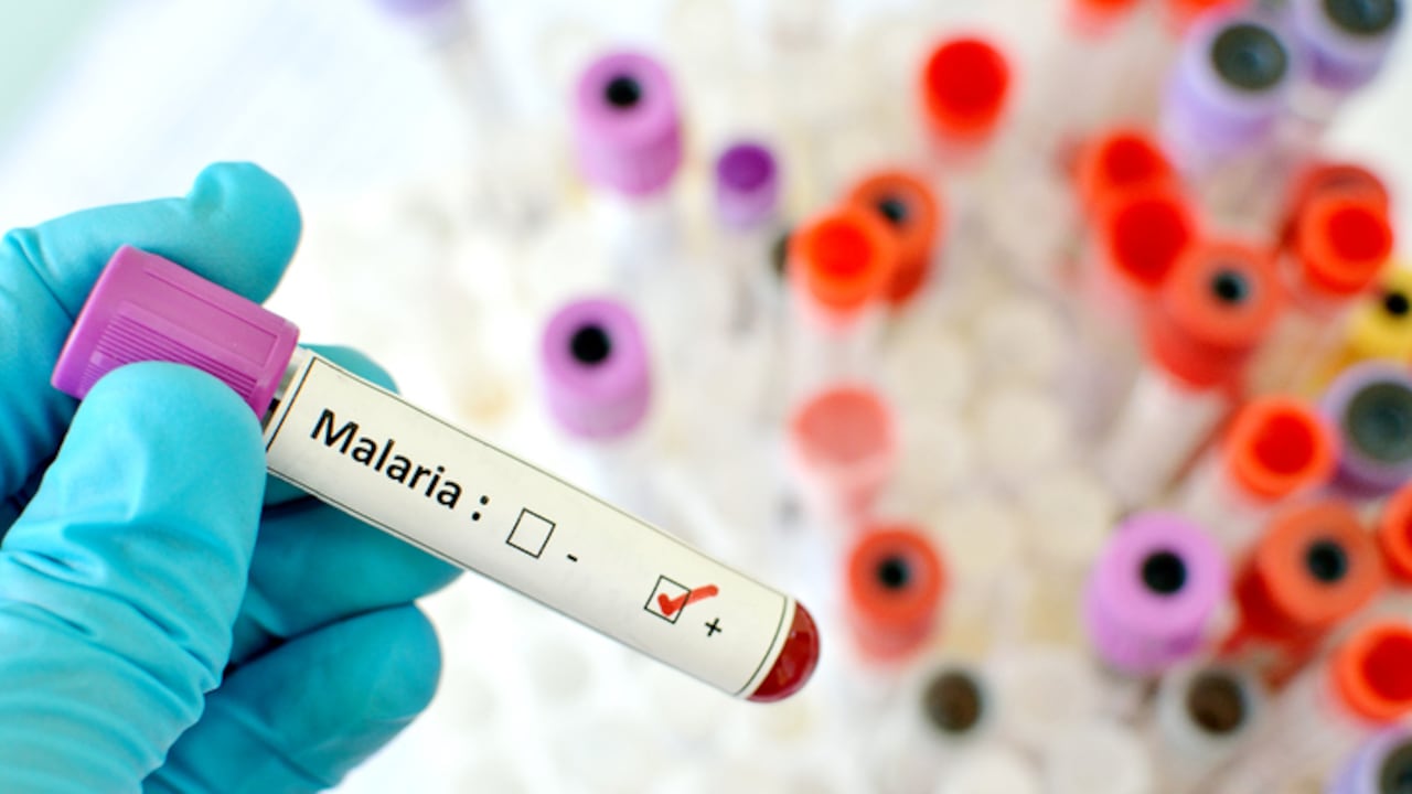 En 2021, casi la mitad de la población mundial estaba expuesta al riesgo de padecer malaria.