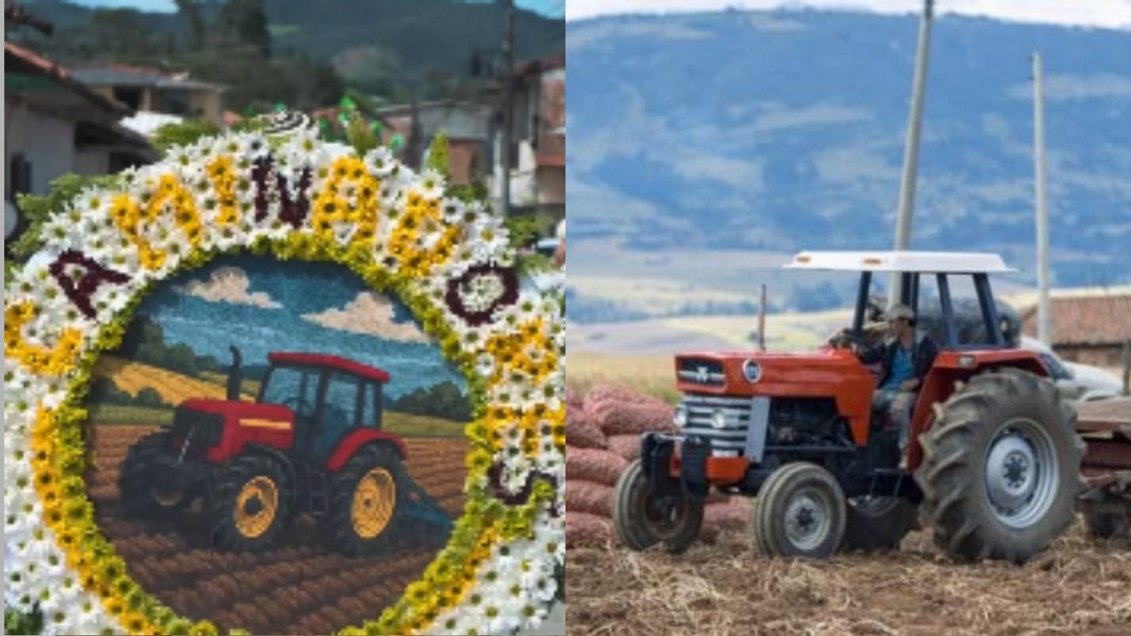 Los tractores son protagonistas de la actividad agrícola de La Unión, Antioquia, municipio que, según la Dirección de Turismo local, tiene una de las mayores concentraciones de estas máquinas en Latinoamérica.