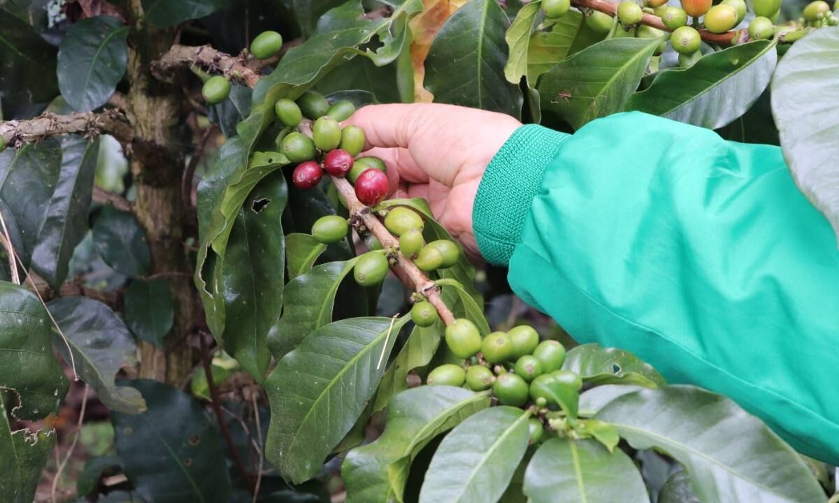 Colombia participó de la cumbre de la FAO en Ecuador, y estas son algunas de las conclusiones del encuentro multilateral.