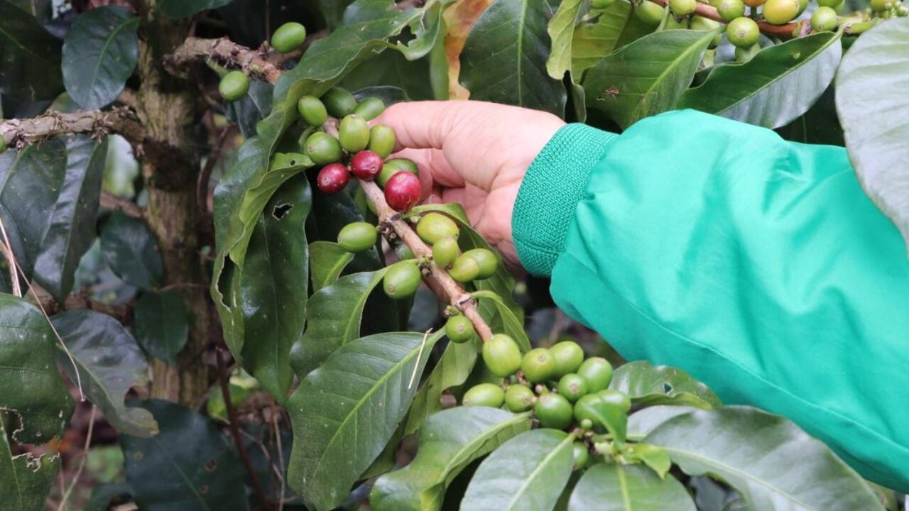 Una de las vacantes está dirigida a personas en condición de discapacidad.