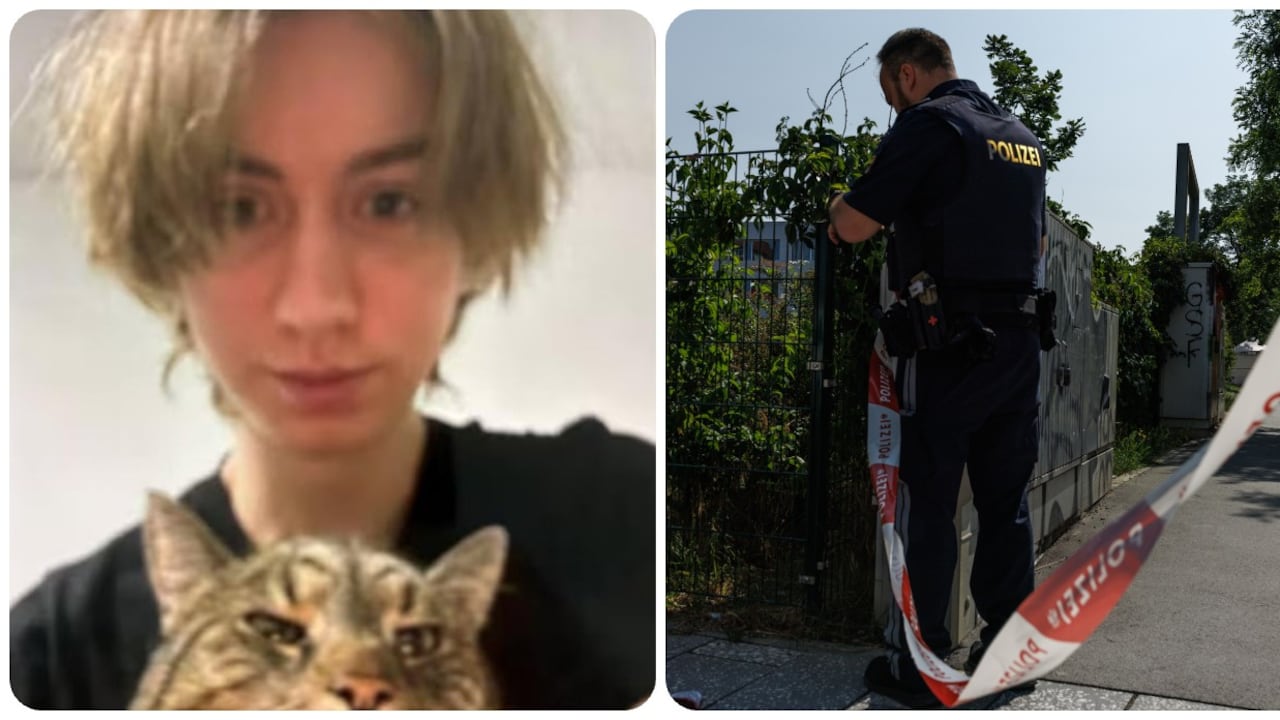 El joven se suicidó tras el ataque