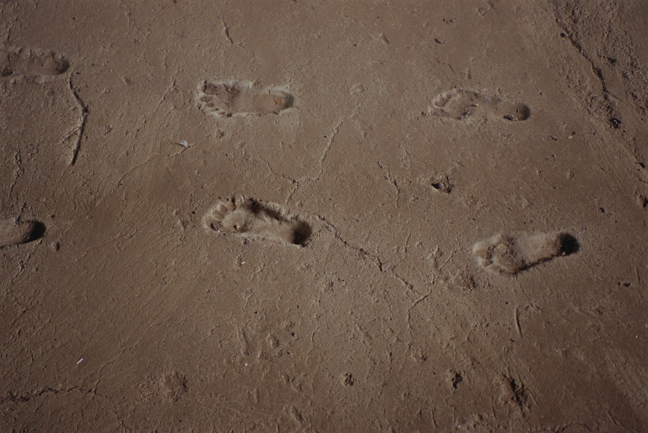 Huellas (Foto Getty)