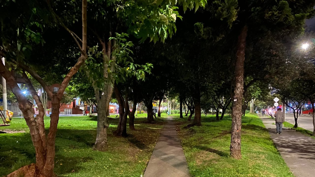 Ciudadanos denunciaron que delincuentes se suben a los árboles para sorprender a peatones y asaltarlos.