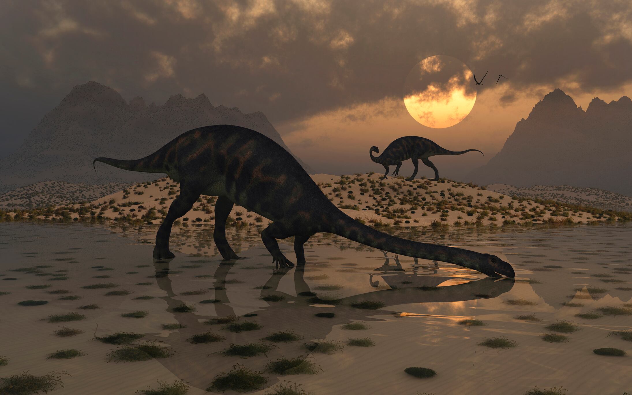 Restos fósiles en China revelaron una especie inédita de sauropodomorfo.