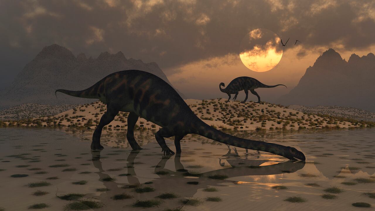 Restos fósiles en China revelaron una especie inédita de sauropodomorfo.