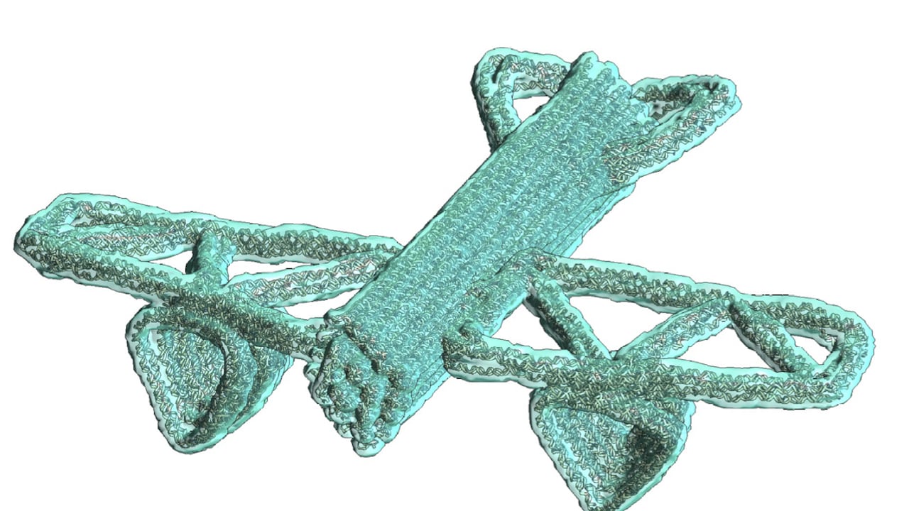 Este nanorobot en forma de "avión", fue hecho de hebras de ADN y es 1000 veces más pequeño que el ancho de un cabello humano. Foto: Universidad Estatal de Ohio.