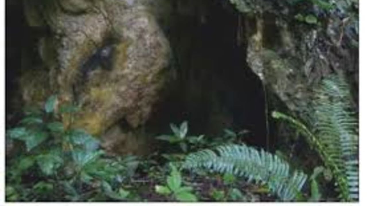 Cavernas de Santa Bárbara en el departamento de Antioquia.