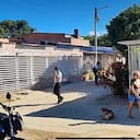 El hallazgo se registró en Villa Dania, oriente de la ciudad.