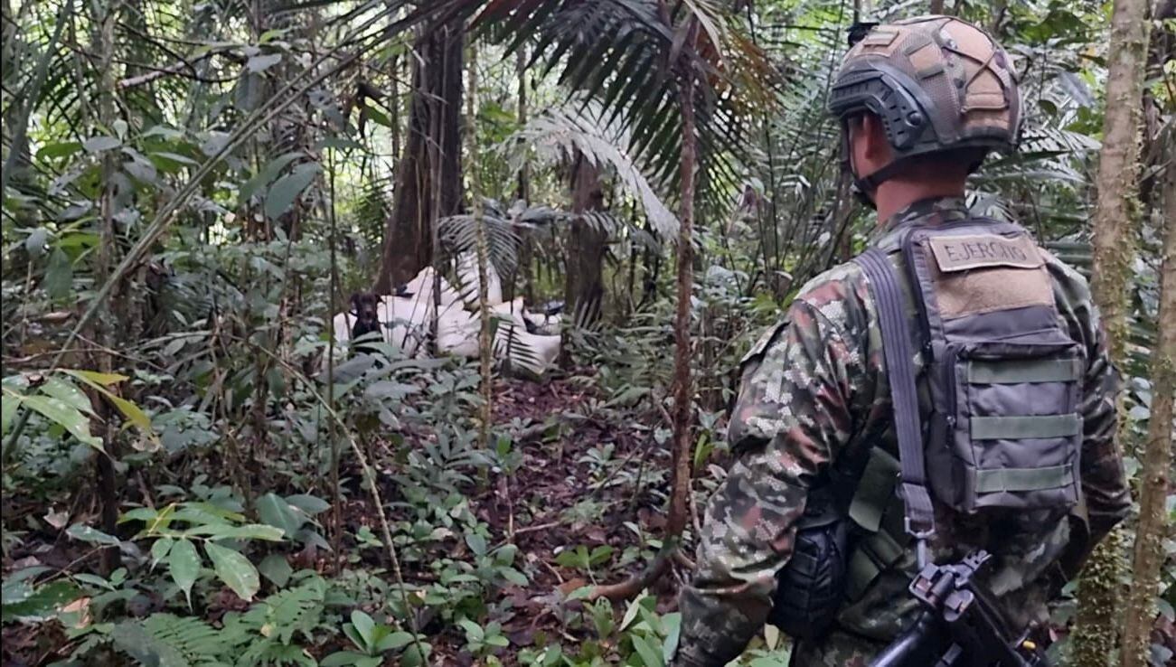 La fuerza pública colombiana adelanta amplios operativos en el sur del país para contrarrestar las acciones violentas de los grupos armados al margen de la ley.
