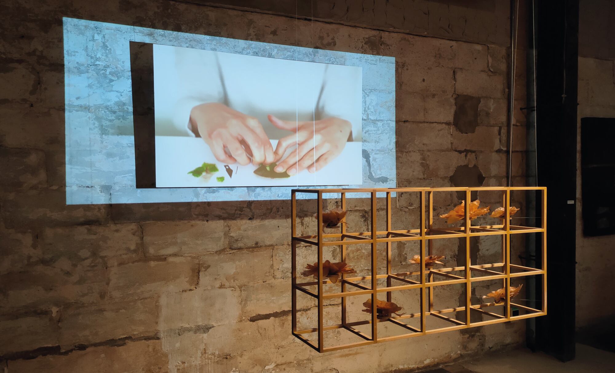 Carolina Borrero Arciniegas