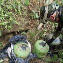 Neutralizada acción terrorista en zona rural de Sardinata, Norte de Santander