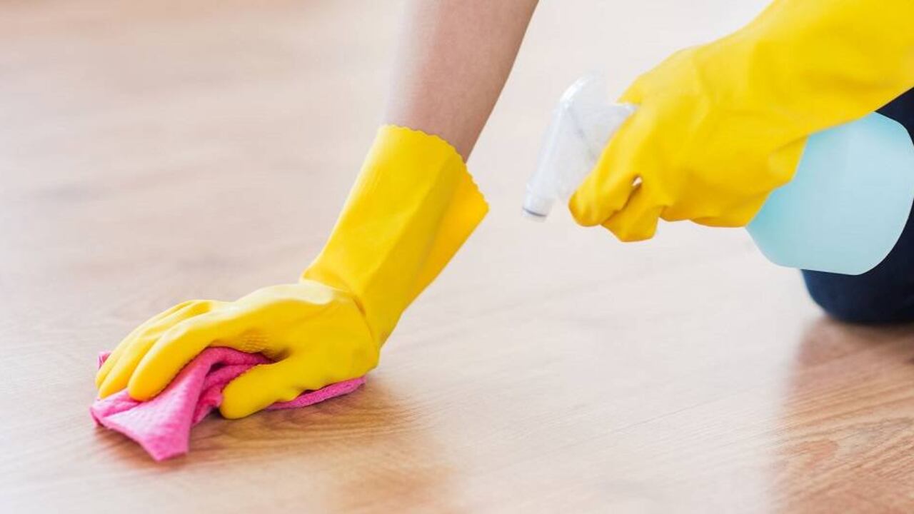 El 22 de julio se conmemora el día del trabajo doméstico.