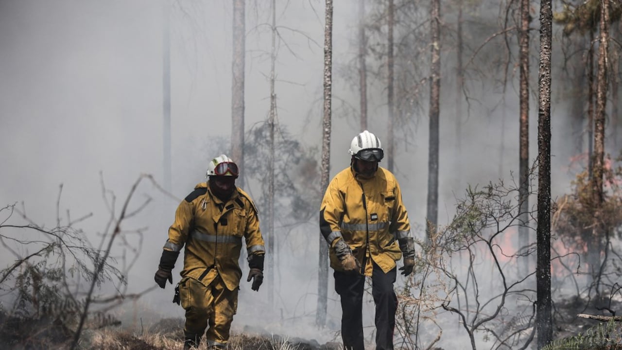 Alrededor de 400 bomberos de Alemania, Rumanía, Polonia, Austria, Grecia e Italia viajaron a la zona para ayudar a sus colegas franceses.