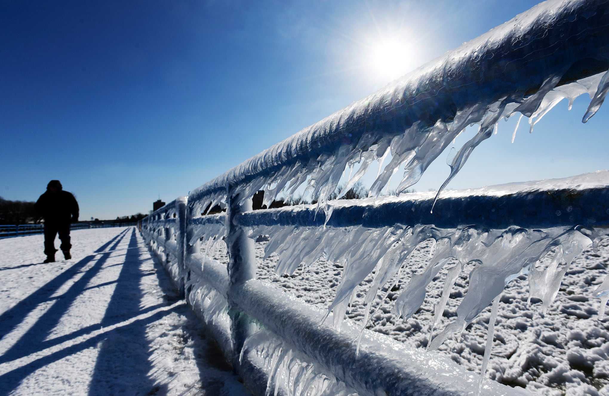 Fotos de la semana 3 febrero 2023