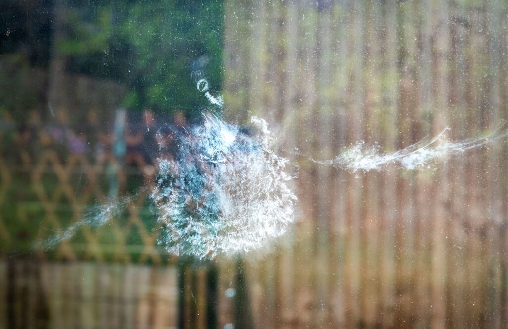 La solución para mantener los cristales y electrodomésticos impecables puede estar en una mezcla casera que combina eficacia, economía y sostenibilidad.