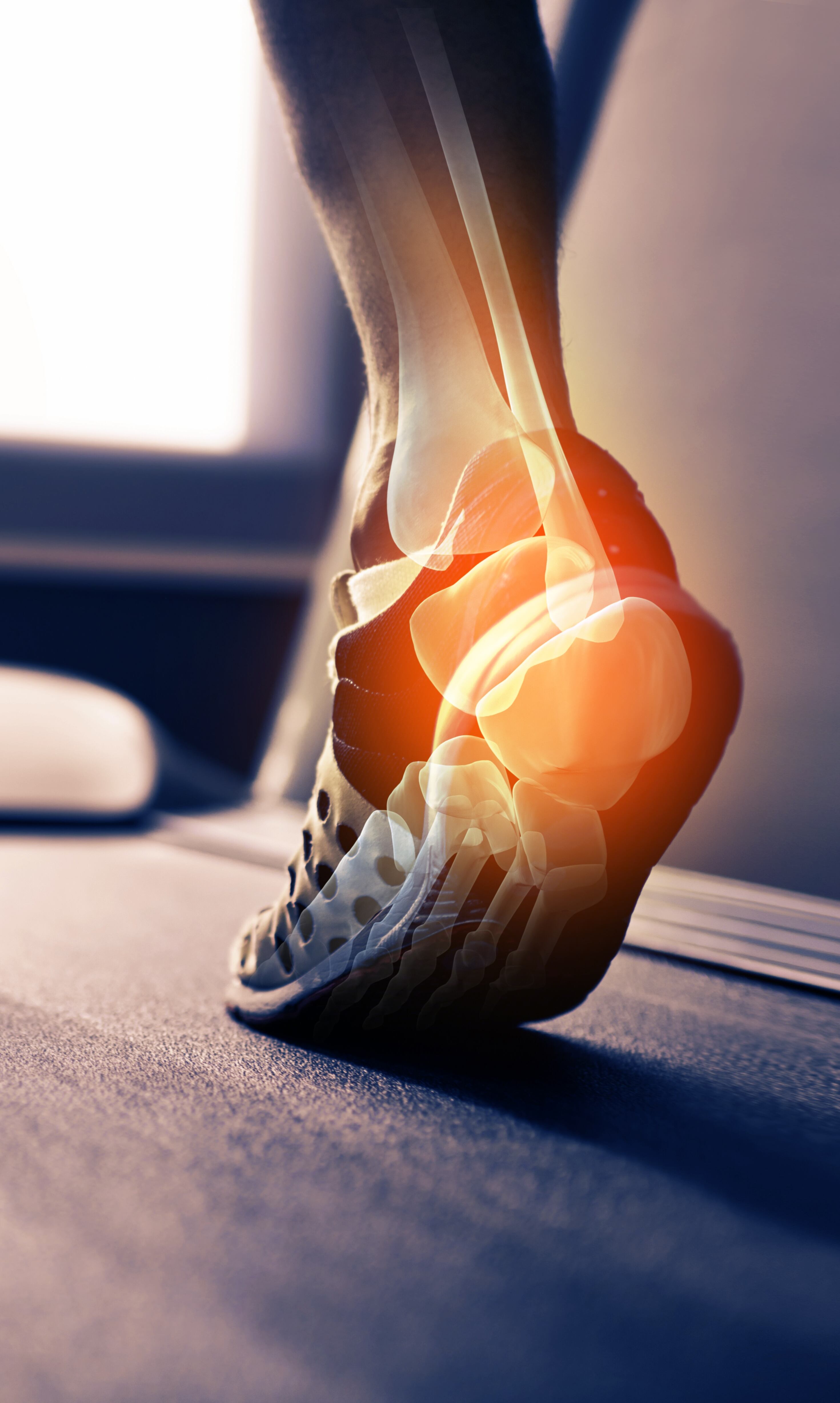 La alimentación es una de las principales fuentes que ayudará a la desinflamación del cuerpo humano a medida que vamos envejeciendo.