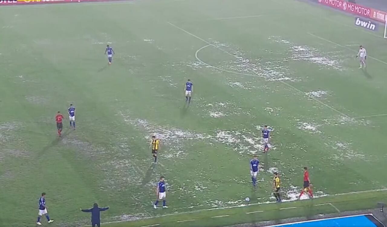 Restando media hora para el cierre del juego, el juez decidió para la contienda.