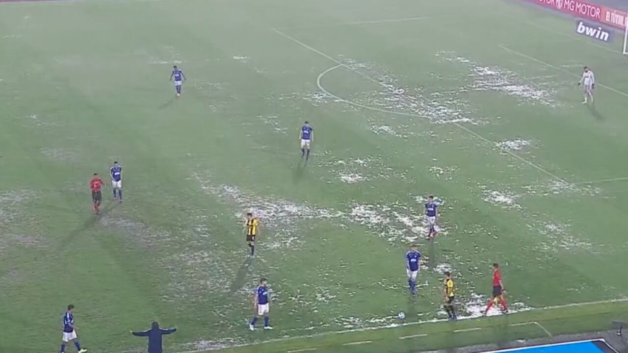 El estado de la grama de El Campín es crítico,