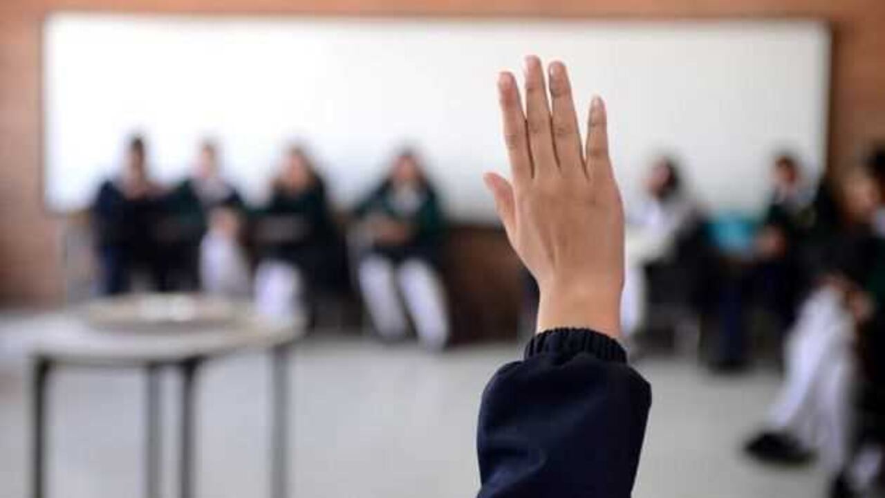 ¿Cuáles son las políticas necesarias de educación sexual para prevenir los embarazos?
