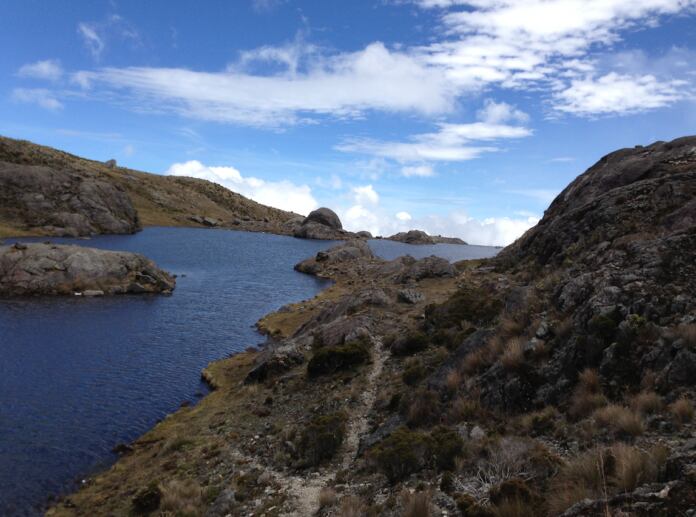 El páramo de Santurbán tiene una diversidad de flora de más de 3.200 especies y cuenta con 35 lagunas.