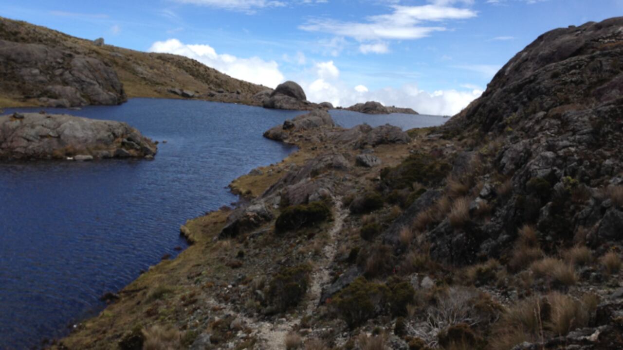 El páramo de Santurbán tiene una diversidad de flora de más de 3.200 especies y cuenta con 35 lagunas.