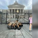 Influencer invitas a políticos de Argentina a trabajar y les regala una pala.