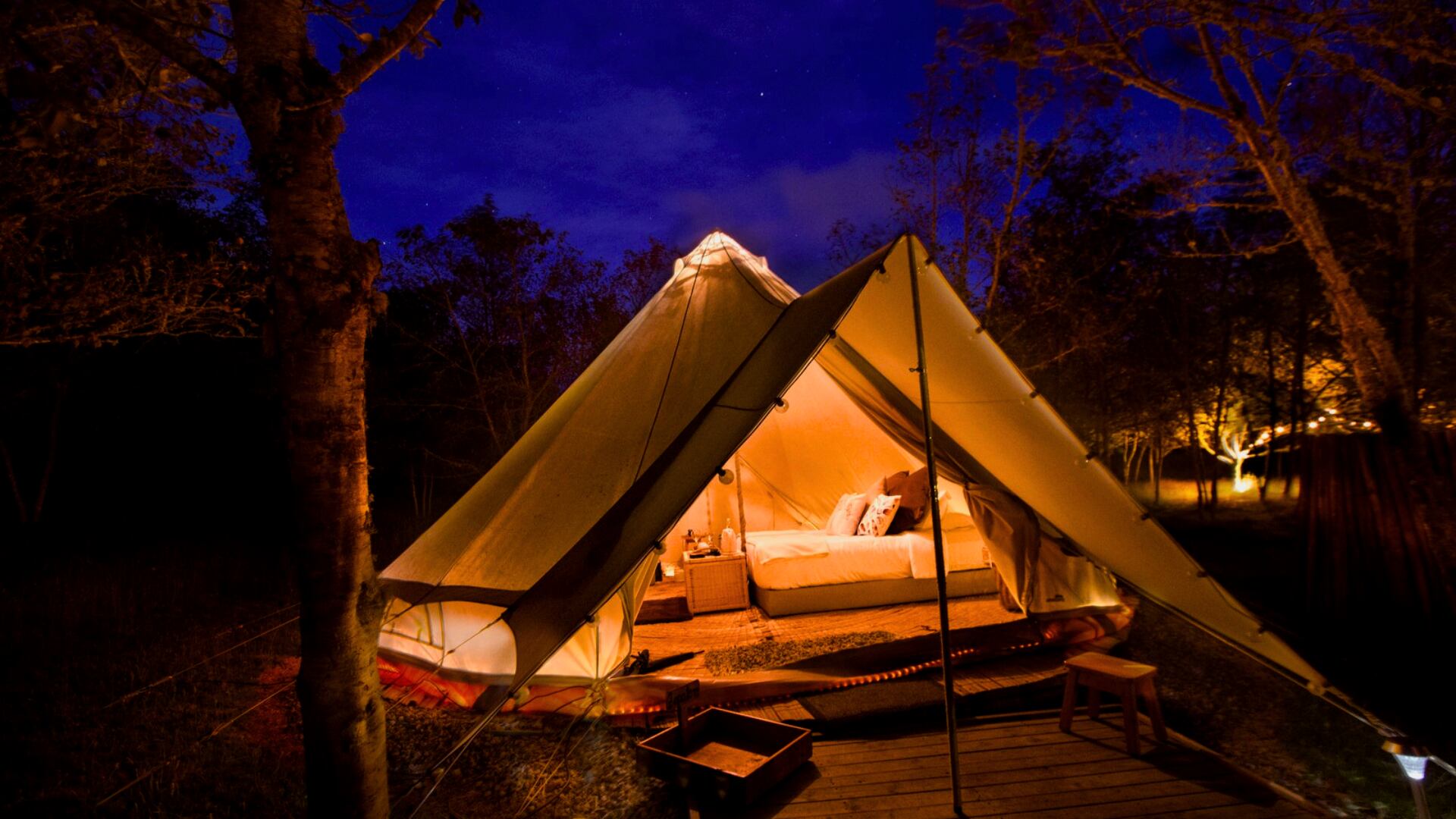 Niddo cuenta con experiencias de día y de noche para familia, amigos y empresas. En la foto un Niddo del Bosque iluminado en una noche estrellada.