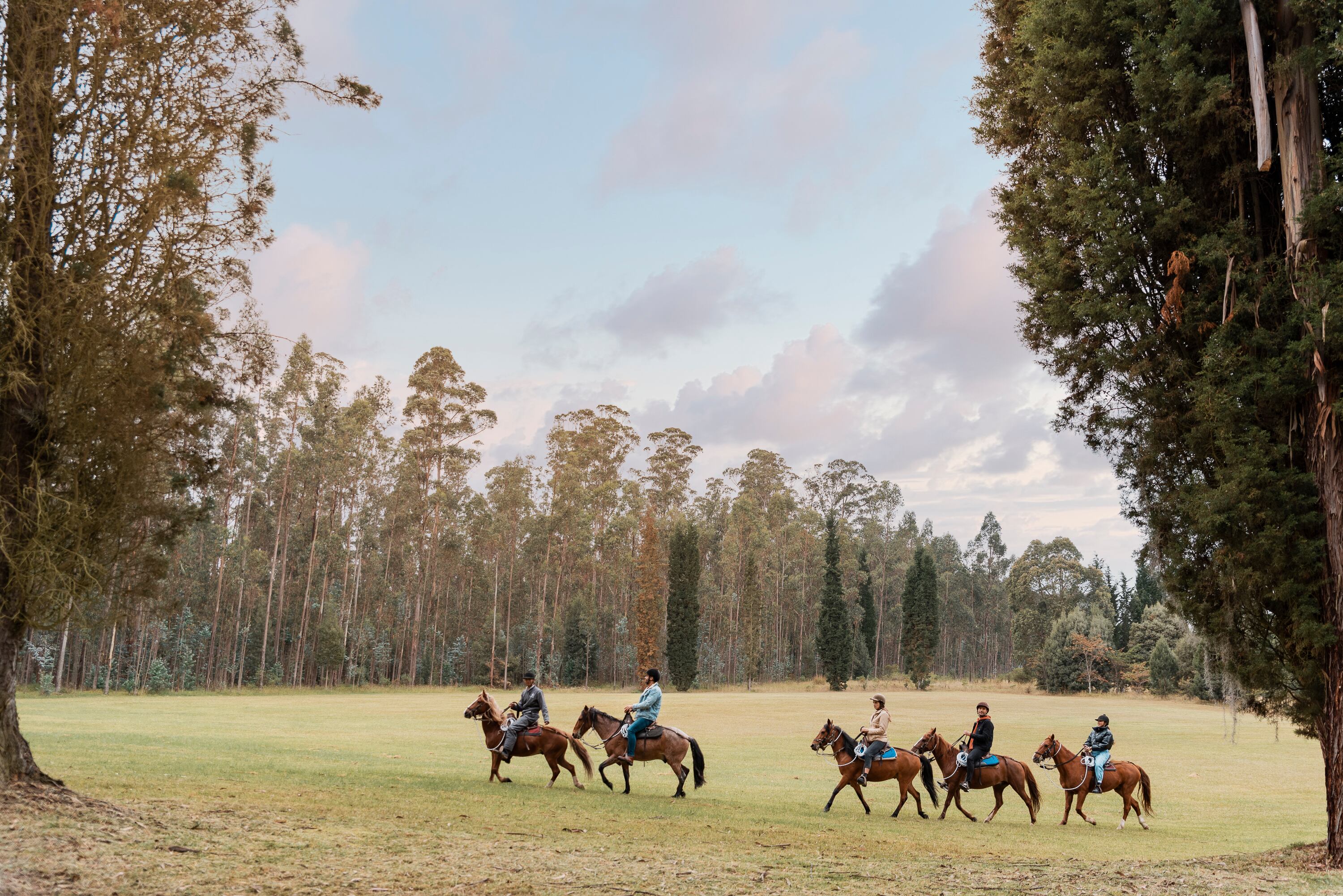Hoteles Estelar - Turismo Mice