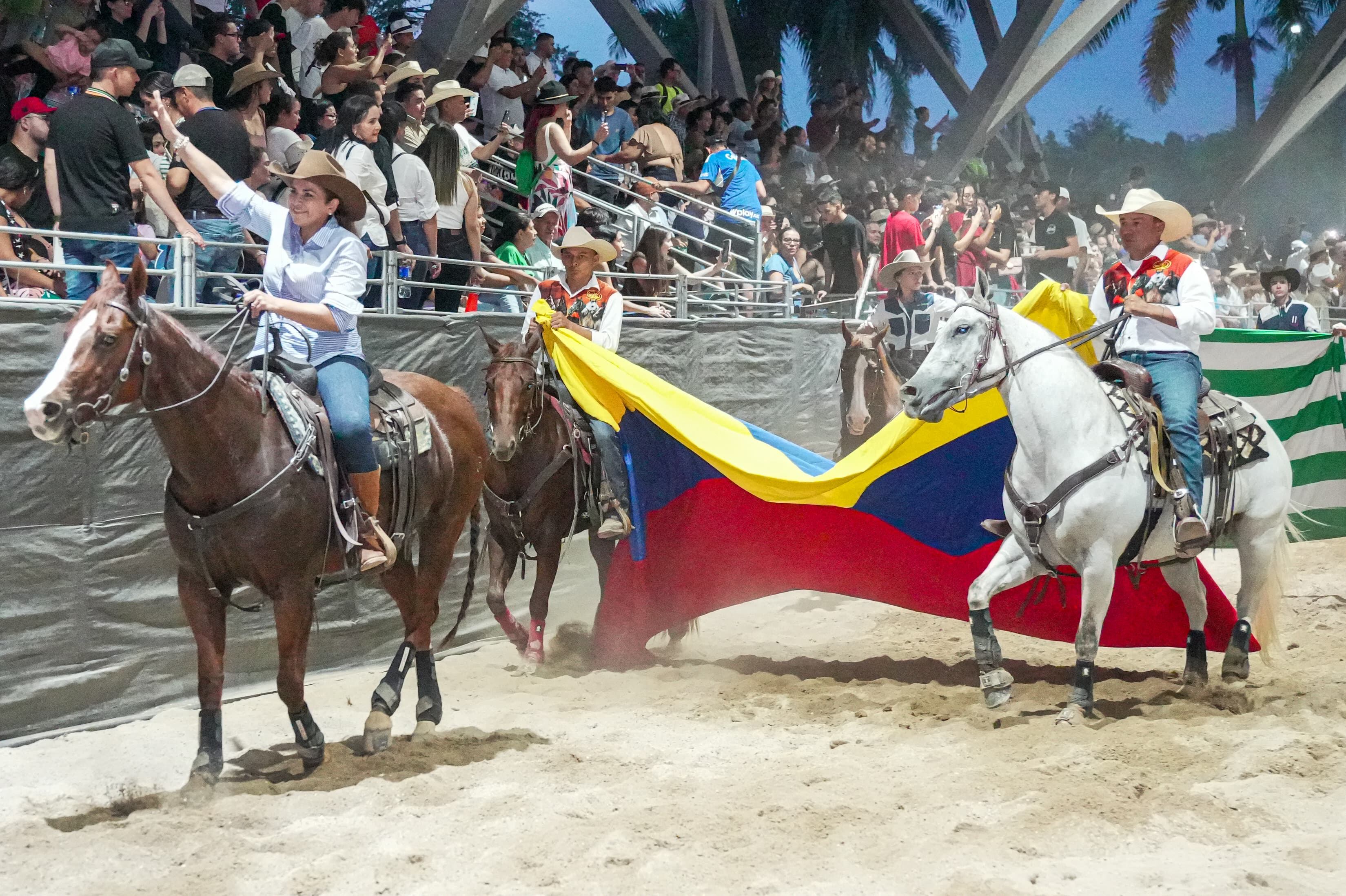 Contenido Comercial Gobernación del Meta - NO USAR