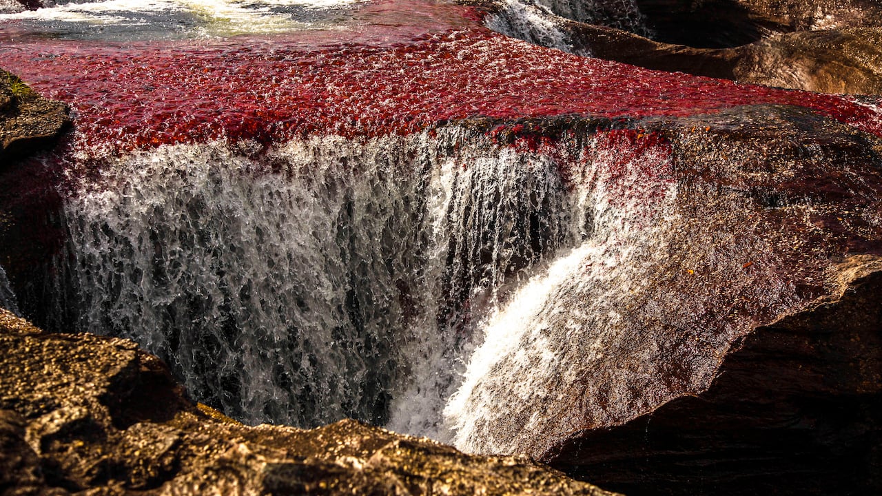 Unos 34 municipios serán impulsados como destinos emergentes.