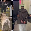 Policía de Bogotá recupera un vehículo con una mascota robada y captura a presunto delincuente.