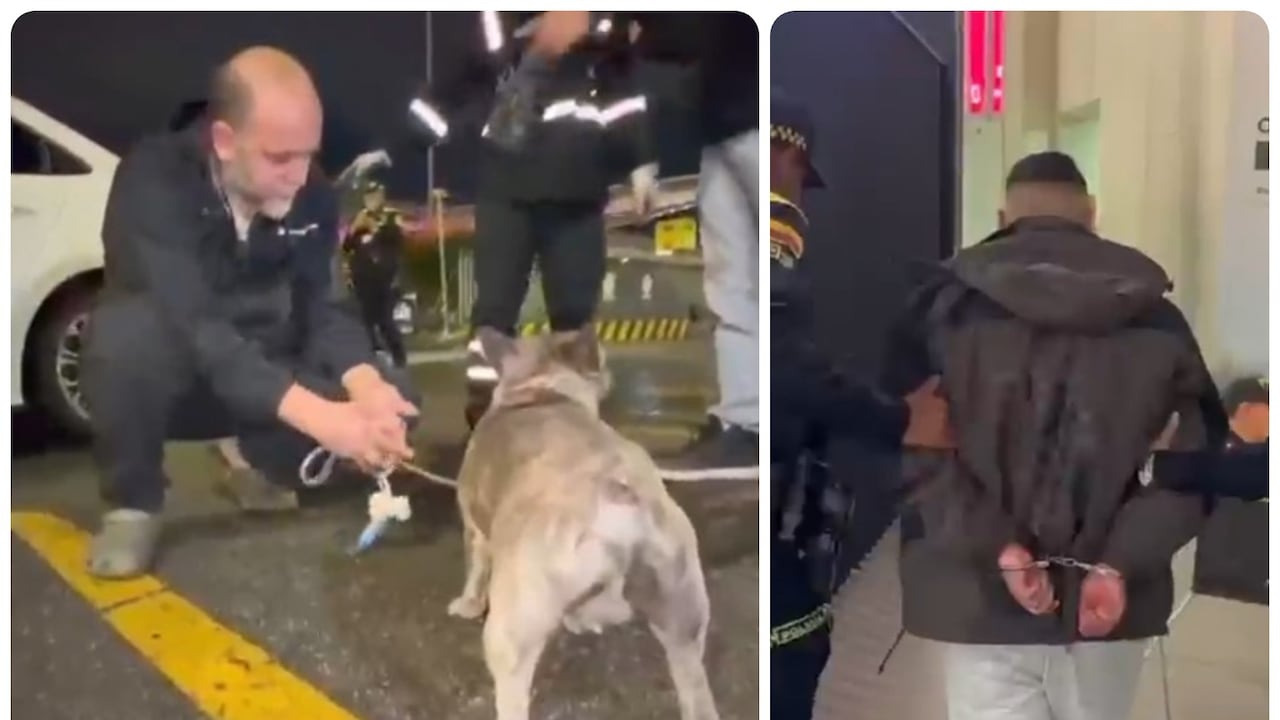 Policía de Bogotá recupera un vehículo con una mascota robada y captura a presunto delincuente.