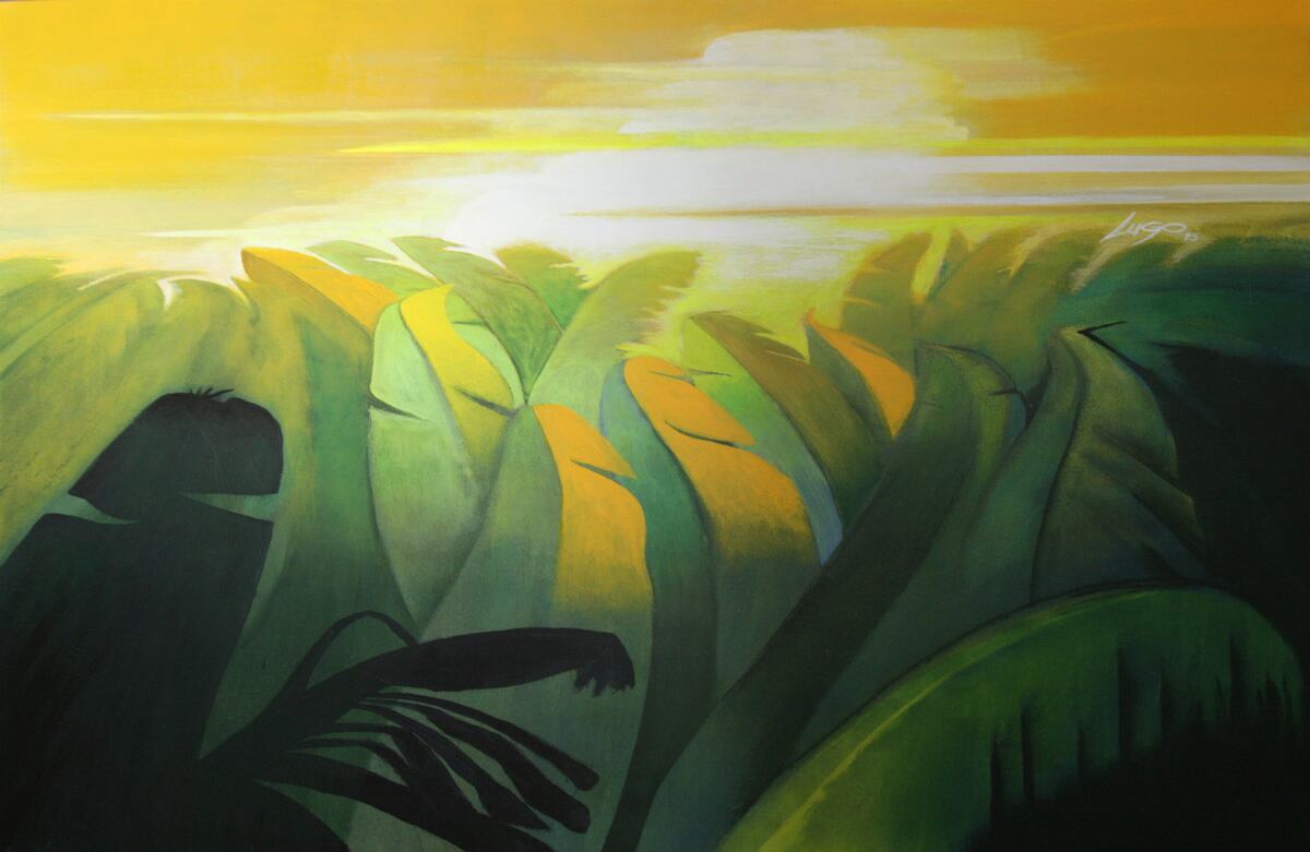 Plantación de banano.